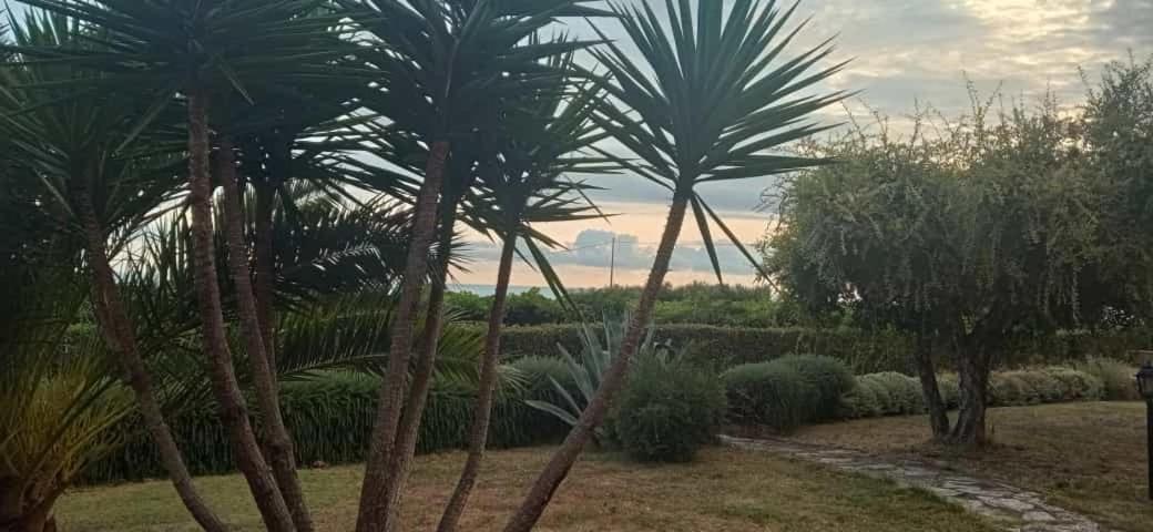 Villa Martina Vasto Dış mekan fotoğraf