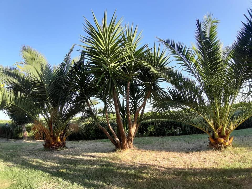 Villa Martina Vasto Dış mekan fotoğraf